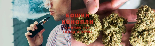 прущая мука Богородицк